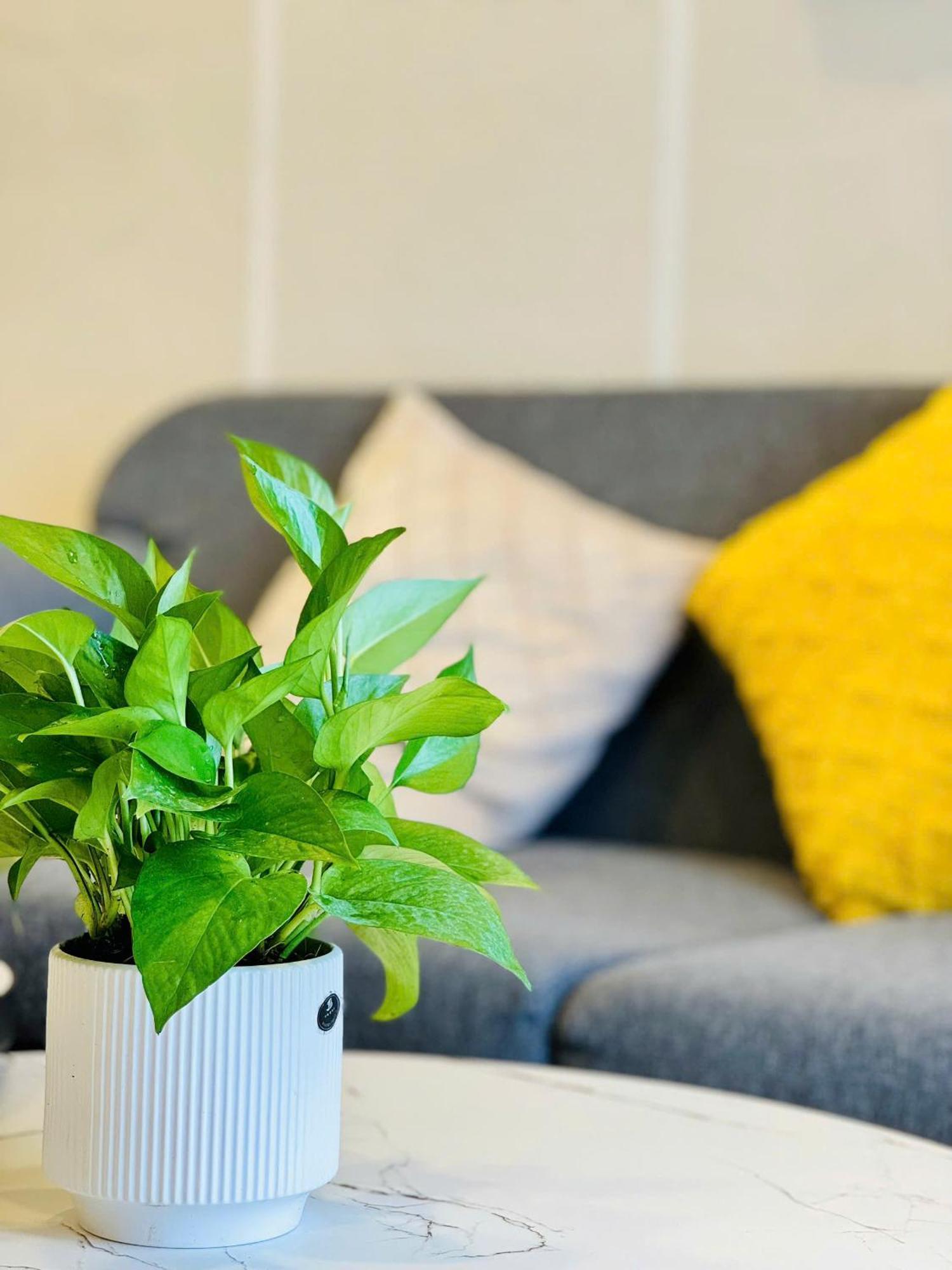 Soho Apt - Luxury Stay, Next To Benthanh Market Ho Chi Minh-stad Buitenkant foto